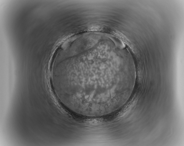 X0000096450721200801241418
