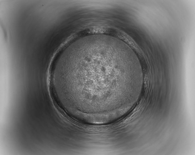 X0000096450722200801241418