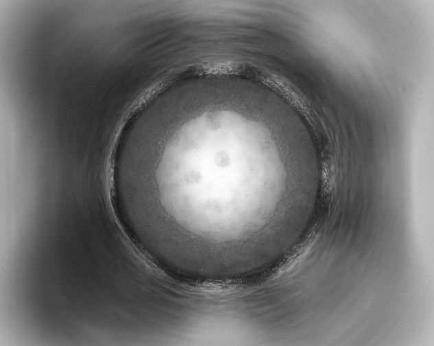 X0000096450725200801241418