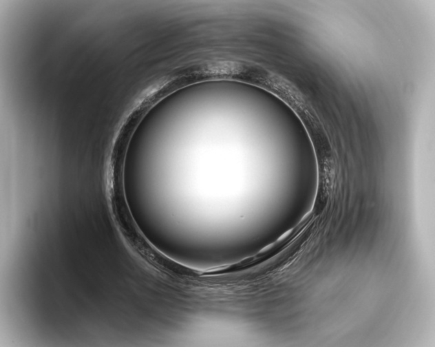 X0000096450726200801241418