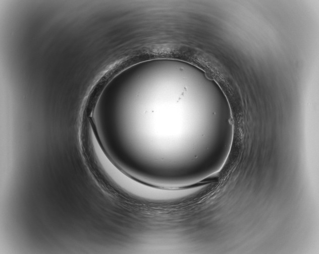 X0000096450728200801241418