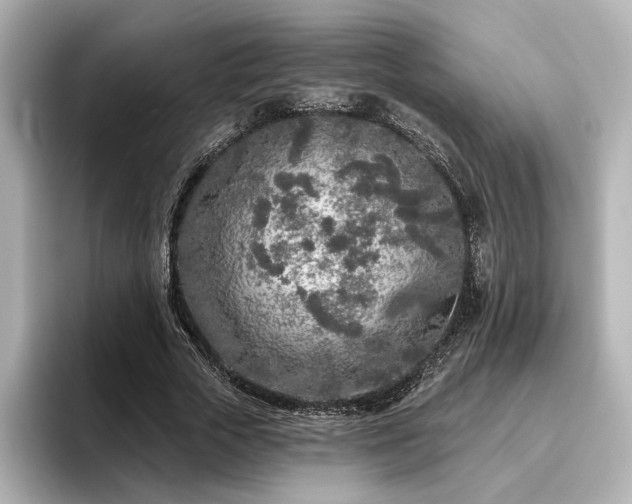 X0000096450729200801241418