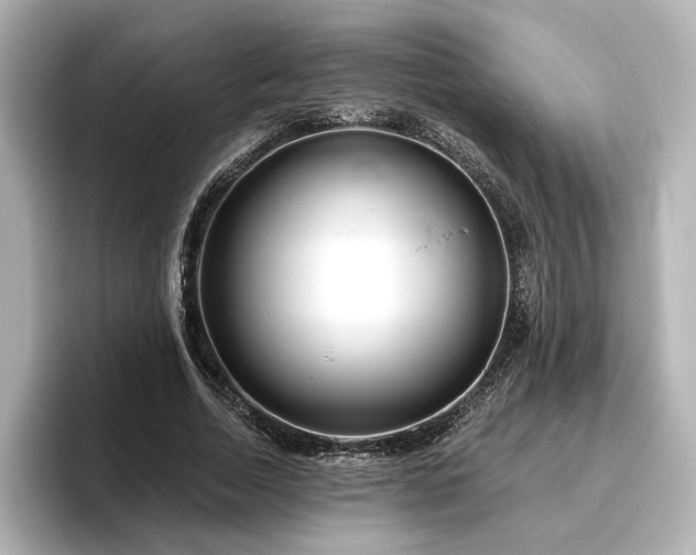 X0000096450730200801241418