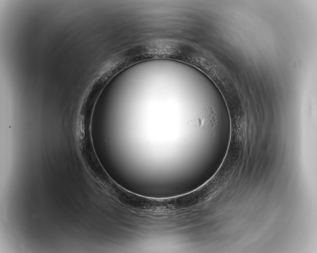 X0000096450731200801241418