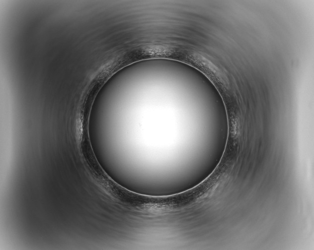 X0000096450733200801241418