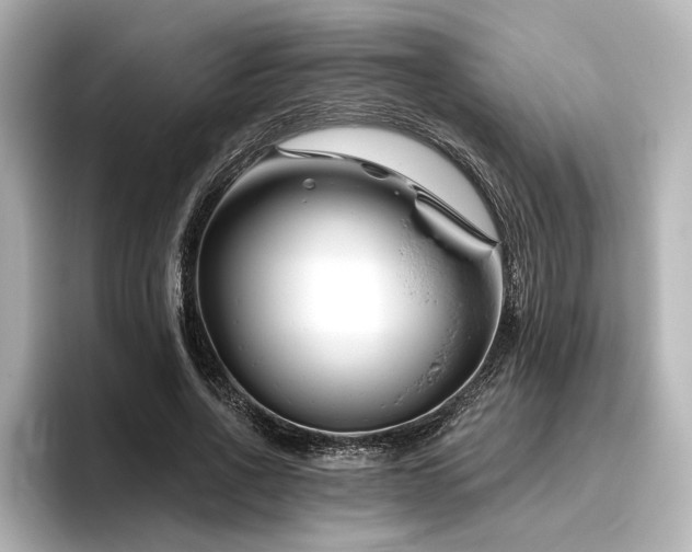 X0000096450734200801241418