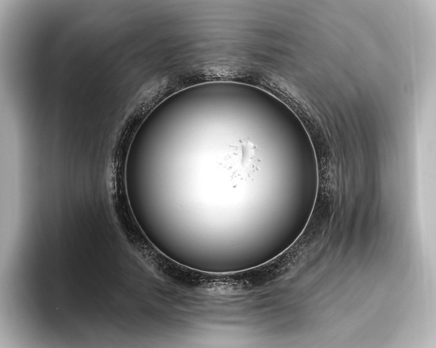 X0000096450738200801241418