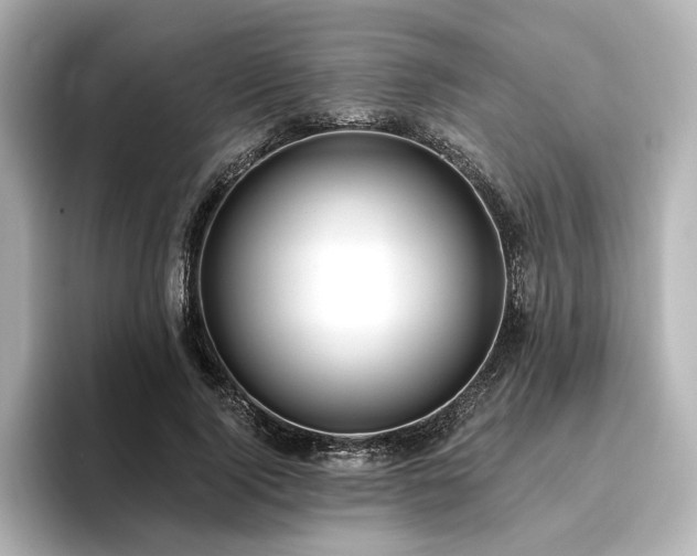 X0000096450740200801241418