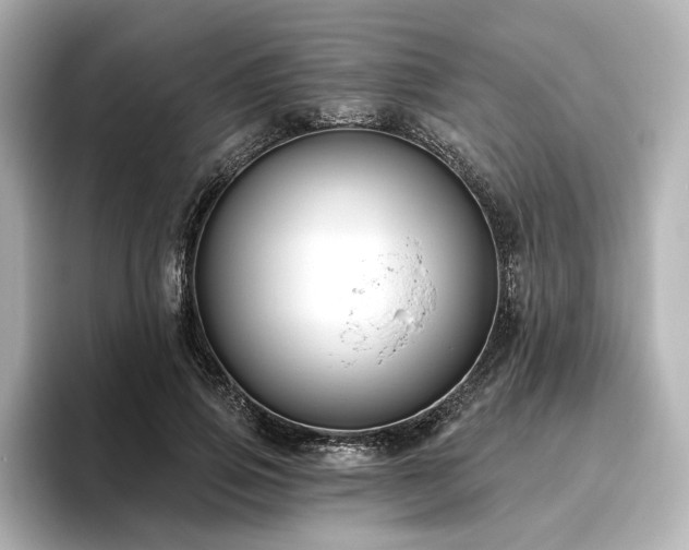 X0000096450741200801241418