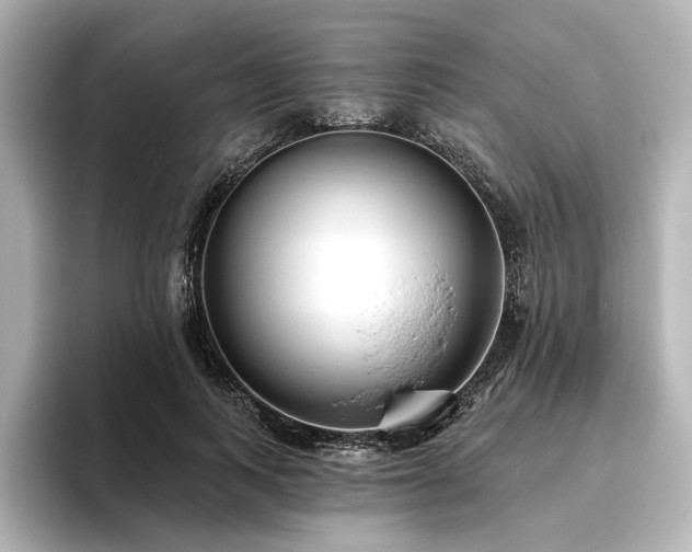 X0000096450743200801241418