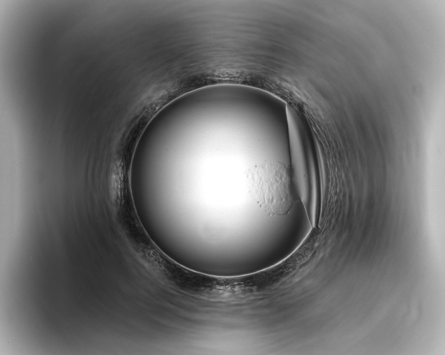 X0000096450744200801241418