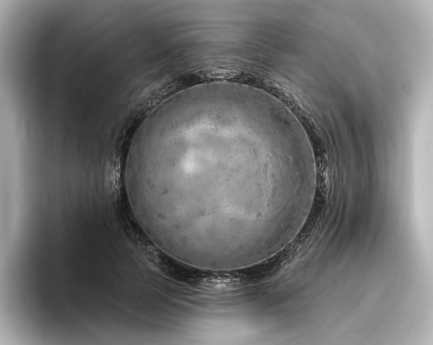 X0000096450745200801241418