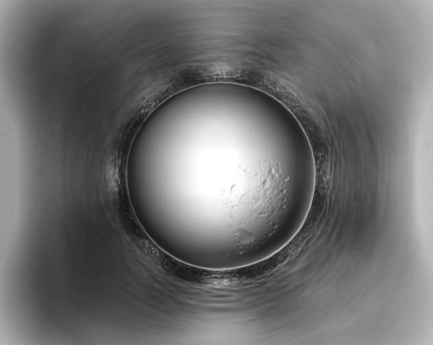 X0000096450746200801241418