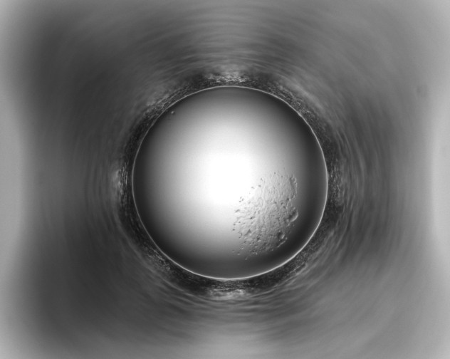 X0000096450747200801241418