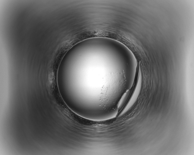 X0000096450748200801241418