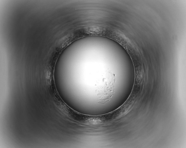 X0000096450749200801241418