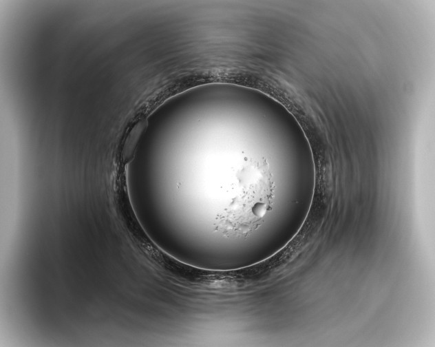 X0000096450750200801241418