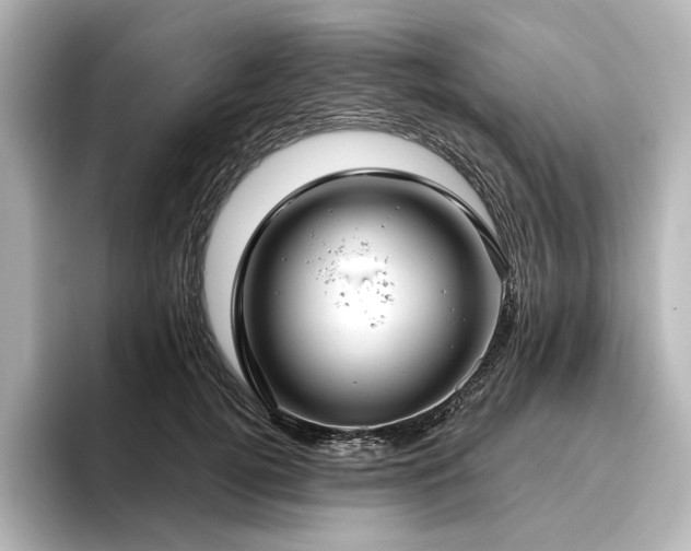 X0000096450752200801241418