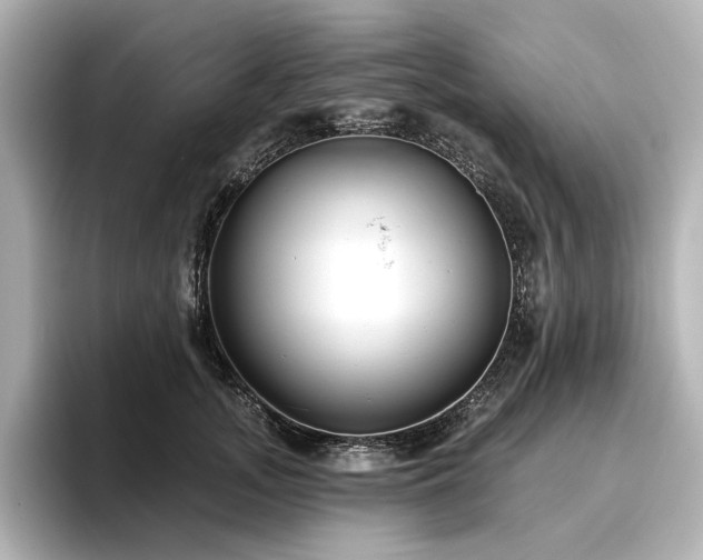 X0000096450755200801241418