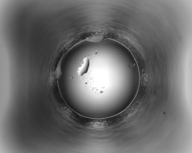 X0000096450756200801241418