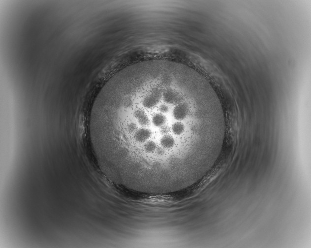 X0000096450758200801241418