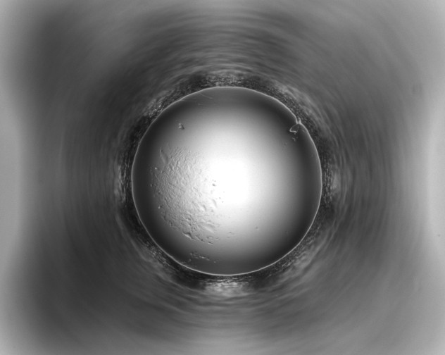 X0000096450759200801241418