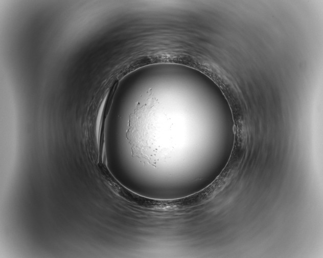 X0000096450760200801241418