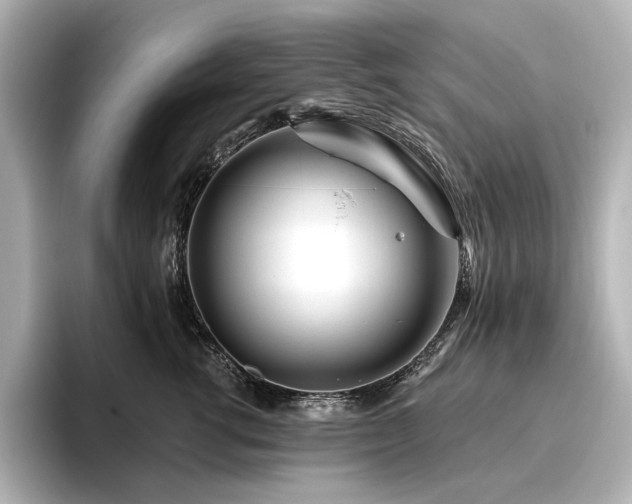 X0000096450762200801241418