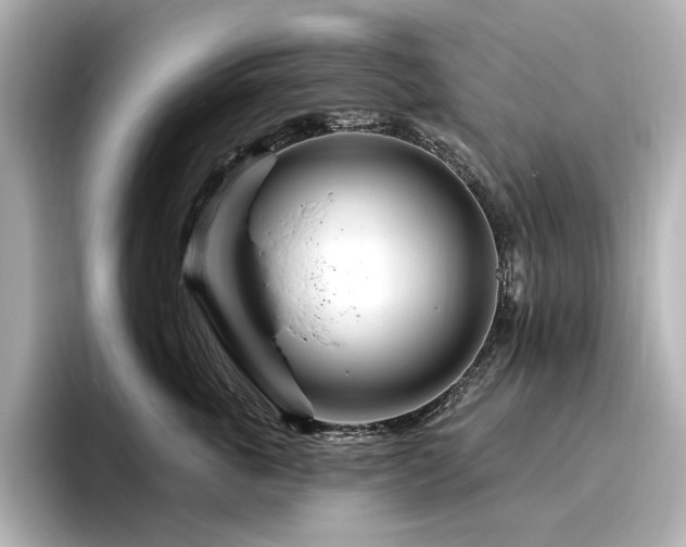 X0000096450763200801241418