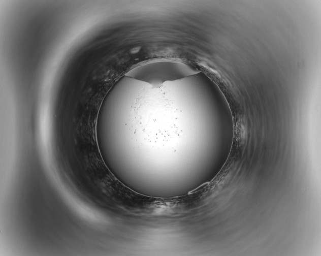 X0000096450764200801241418
