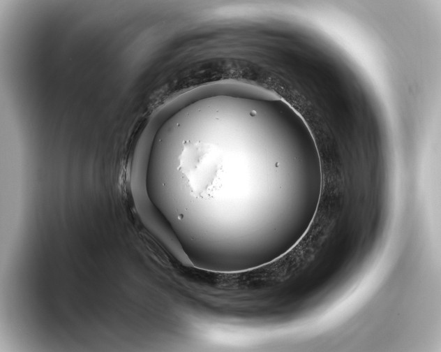 X0000096450766200801241418