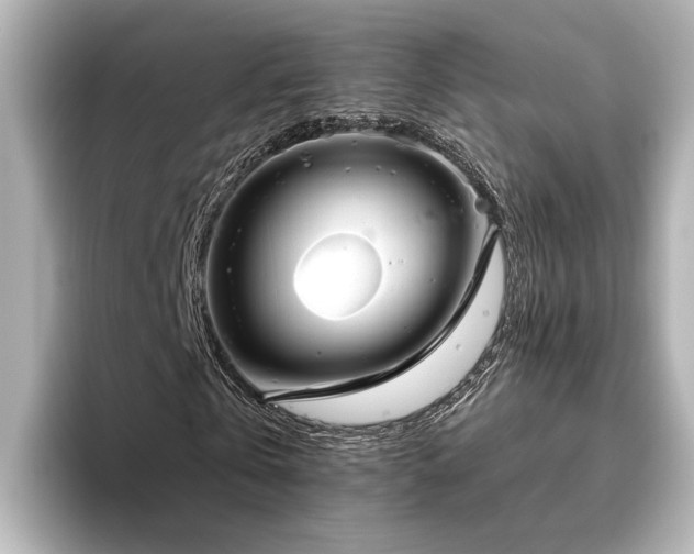 X0000096450769200801241418