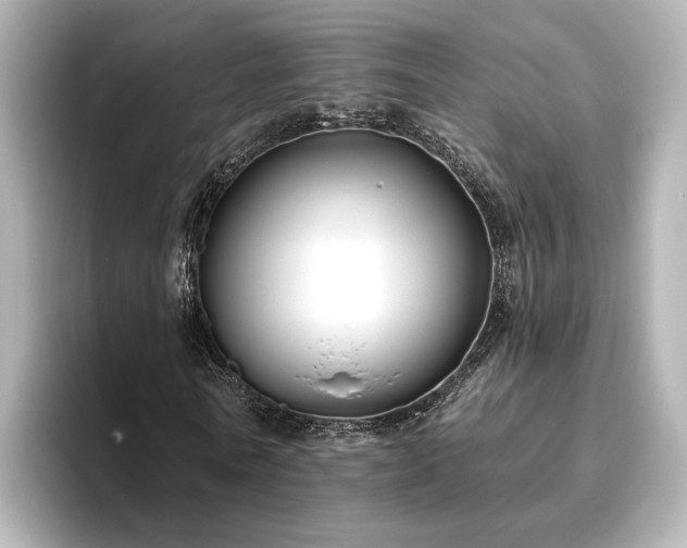 X0000096450770200801241418