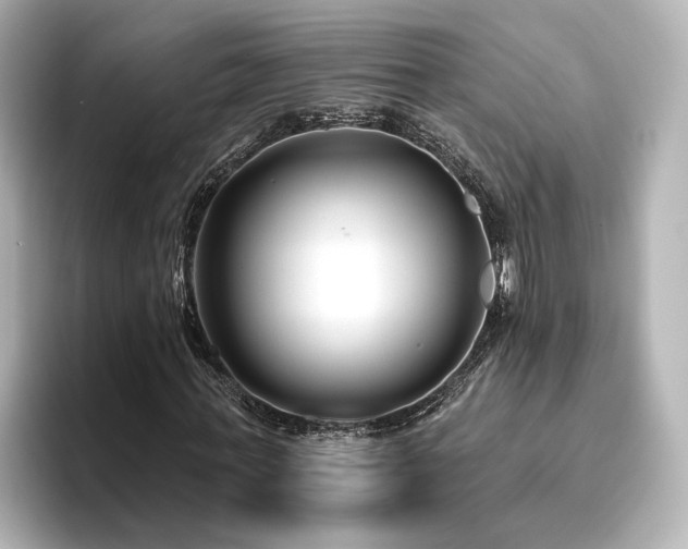 X0000096450771200801241418