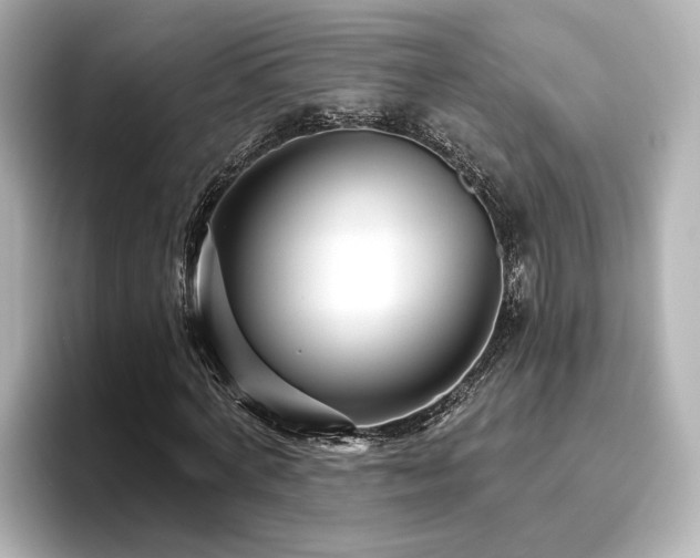 X0000096450772200801241418