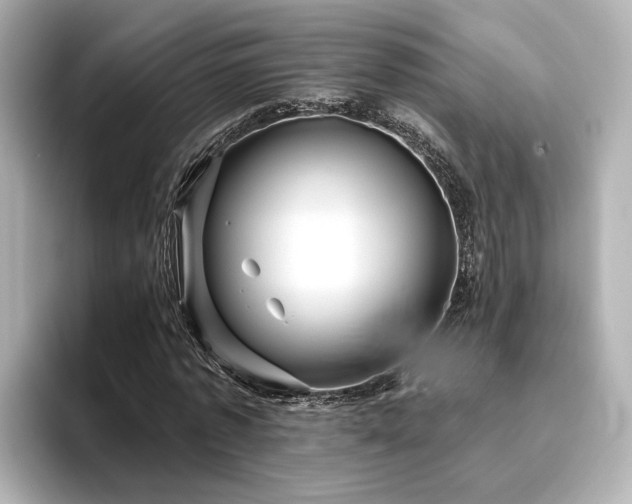 X0000096450773200801241418