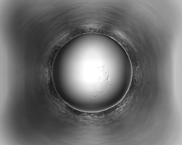X0000096450774200801241418