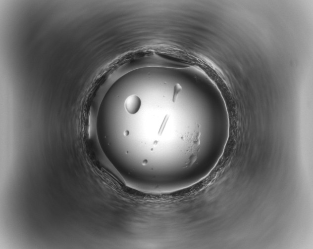X0000096450775200801241418