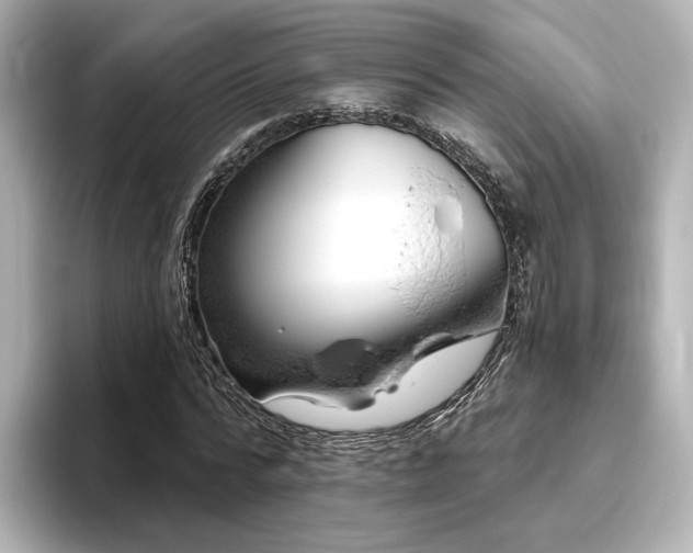X0000096450776200801241418
