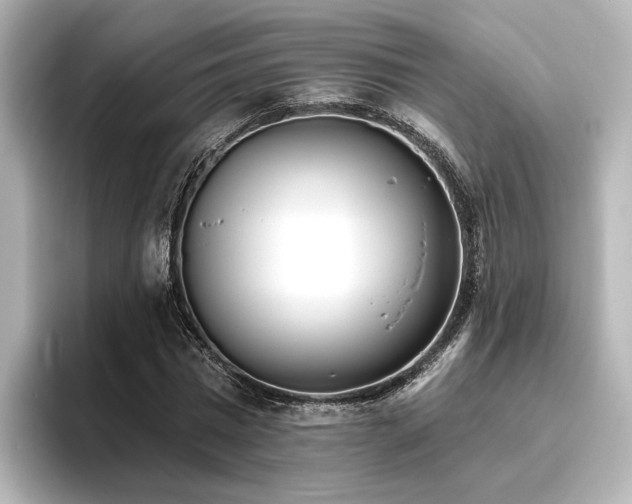 X0000096450777200801241418