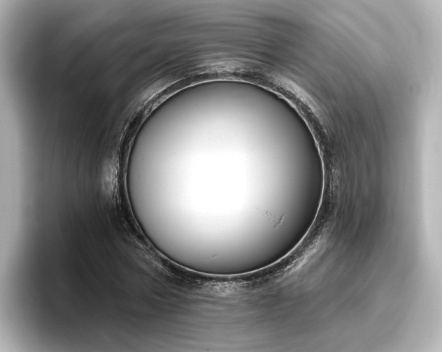 X0000096450778200801241418