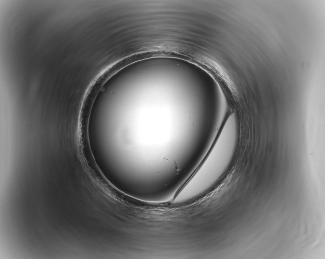 X0000096450780200801241418