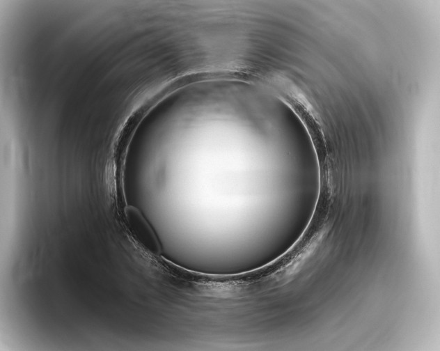 X0000096450781200801241418