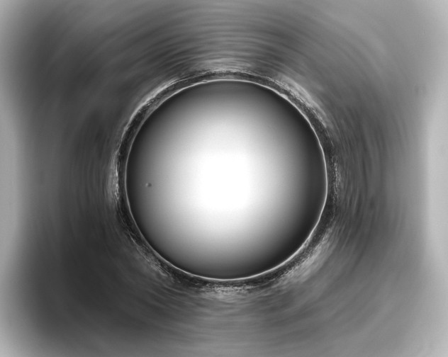 X0000096450782200801241418