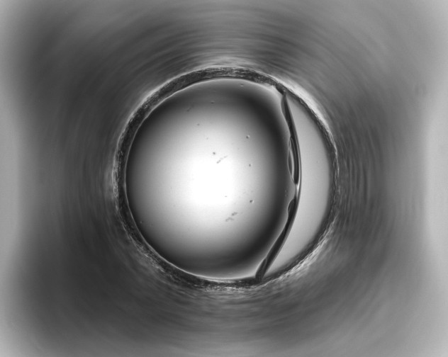 X0000096450783200801241418
