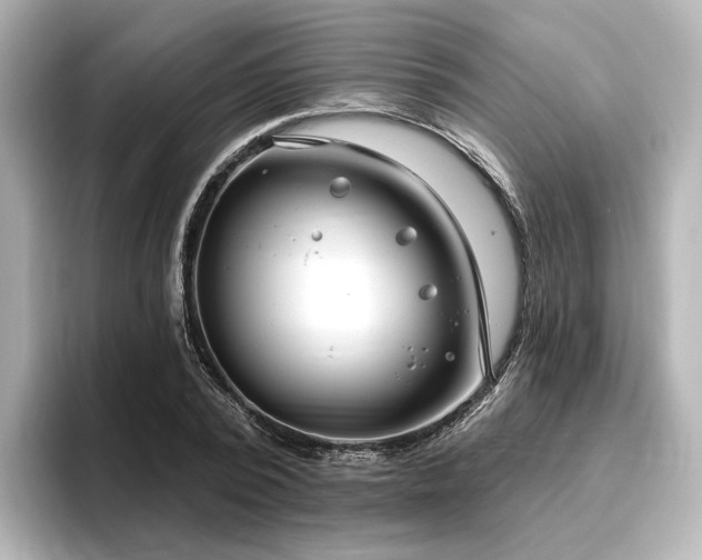 X0000096450784200801241418