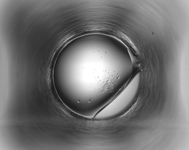 X0000096450786200801241418