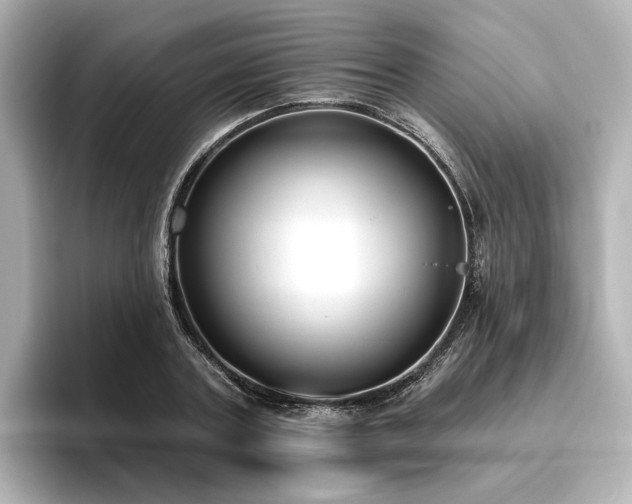X0000096450787200801241418
