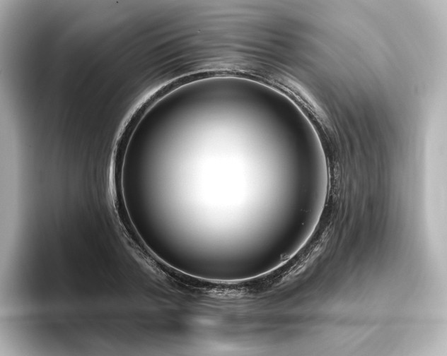 X0000096450788200801241418