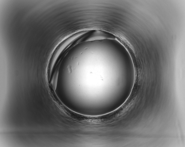 X0000096450789200801241418